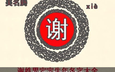 谢姓男孩有内涵的名字