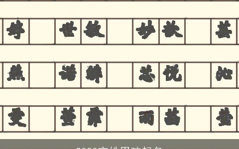 2024宁姓男孩起名