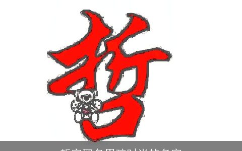 哲字取名男孩时尚的名字