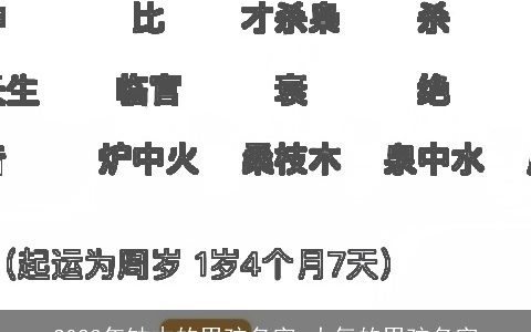 2024年缺木的男孩名字 大气的男孩名字