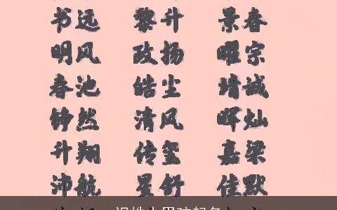迟姓小男孩起名