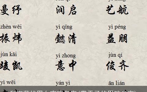和字辈的男女宝宝名字(带天子的男孩名字)