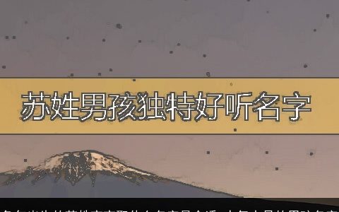 兔年出生的苏姓宝宝取什么名字最合适 人气十足的男孩名字