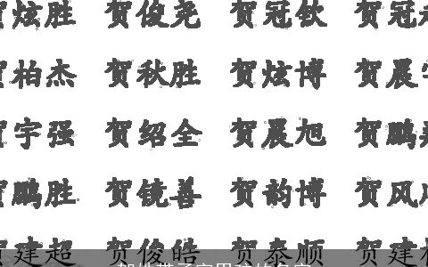 贺姓带函字男孩的名字