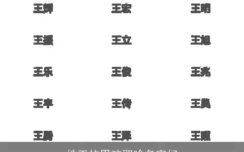 姓王的男孩取啥名字好