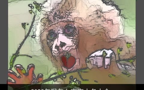 2023年猴年女宝宝小名大全_