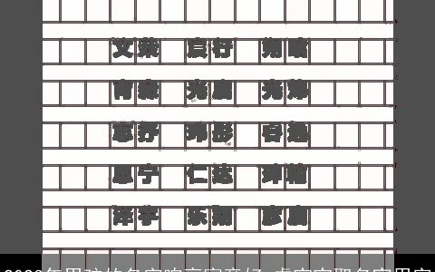 2024年男孩的名字响亮寓意好 龙宝宝取名宜用字