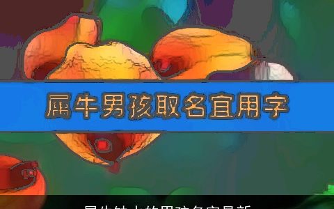 属牛缺水的男孩名字最新