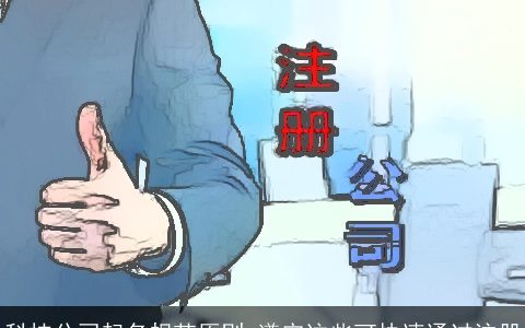 科技公司起名规范原则 遵守这些可快速通过注册