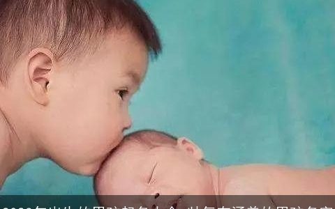 2024年出生的男孩起名大全 帅气有涵养的男孩名字