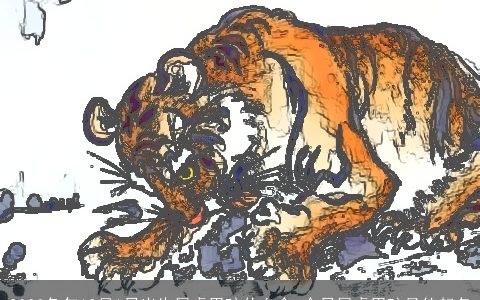 2023兔年12月1日出生属虎男孩什么命 今日属虎男孩最佳起名