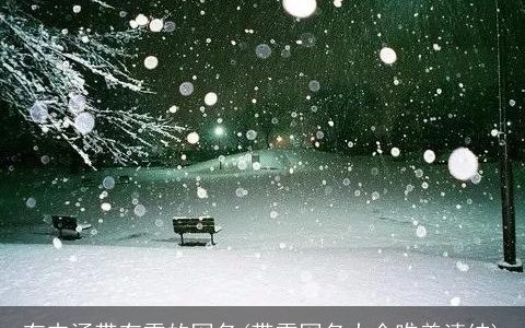 有内涵带有雪的网名(带雪网名大全唯美清纯)