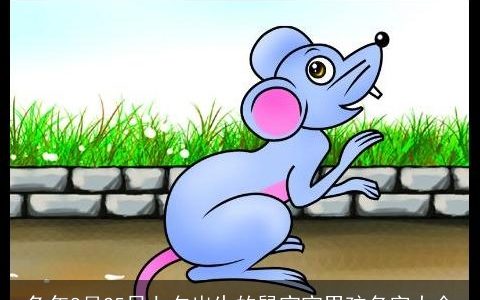 兔年8月25日七夕出生的鼠宝宝男孩名字大全