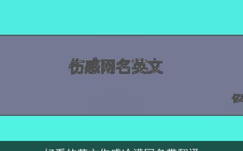 好看的英文伤感冷漠网名带翻译