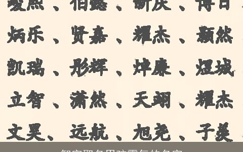 智字取名男孩霸气的名字