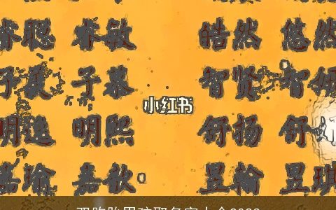 双胞胎男孩取名字大全2024