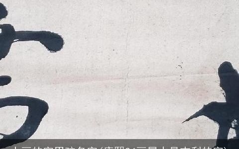 十画的字男孩名字(康熙24画属水最吉利的字)