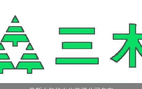 最新大气的文化传播公司名字