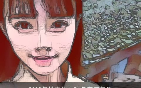 2023年姓宋的女孩名字有气质