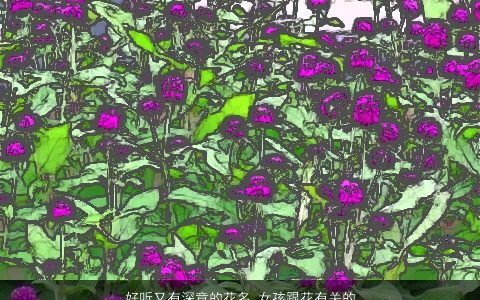 好听又有深意的花名 女孩跟花有关的名字大全 2023稀少好听的女孩名字