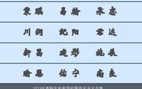 2024代表新生和希望的男孩名字大全集  取名网 有涵养新颖的新生男孩名字最新