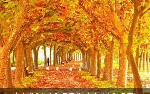 火土组合的女孩名字(缺火土的女孩名字)