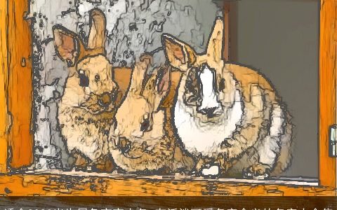 适合2023出生属兔宝宝小名 有活泼可爱名字含义的名字大全集