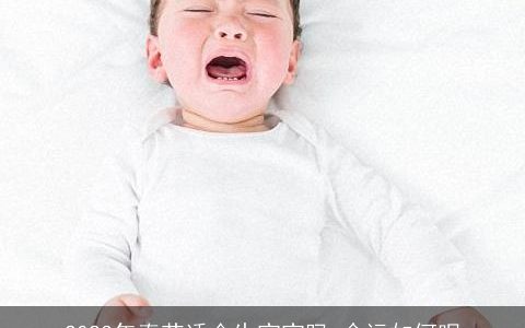 2024年春节适合生宝宝吗 命运如何呢