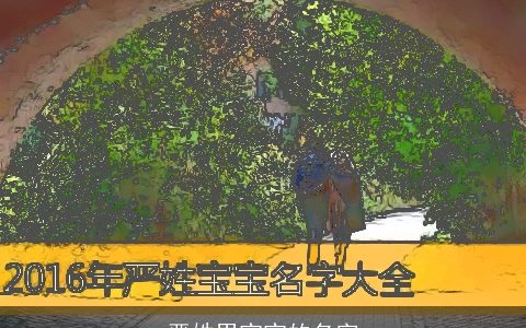 严姓男宝宝的名字