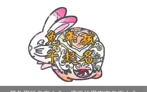 属兔男孩名字大全  儒雅的男宝宝名字大全