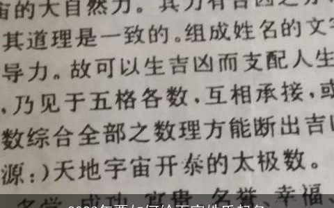 2024年要如何给百家姓氏起名