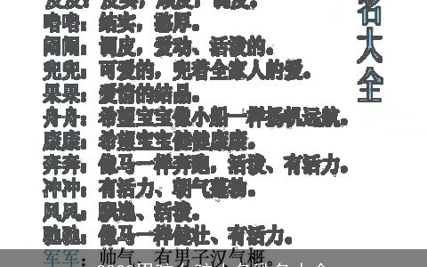 2030男孩女孩小名乳名大全