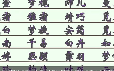 2024男孩名字大全库 帅气有涵养的男孩名字大全最新