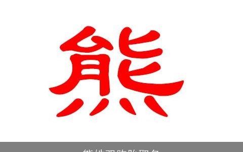 熊姓双胞胎取名