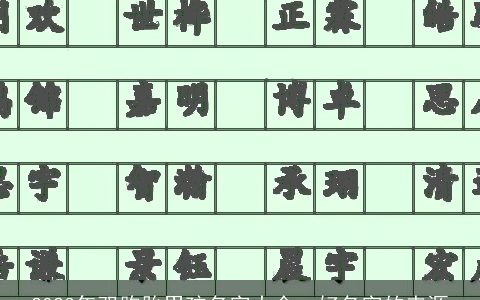 2023年双胞胎男孩名字大全  好名字的来源