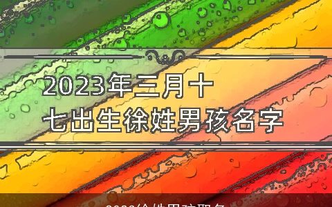 2023徐姓男孩取名