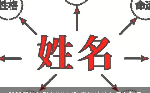 2024年1月17日出生男孩五行缺什么怎么起名