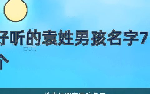 姓袁的四字男孩名字