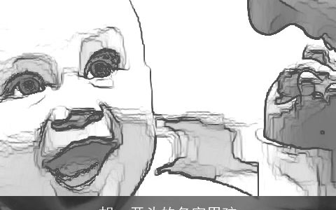 胡一开头的名字男孩