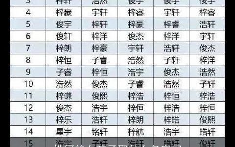 姓何的女孩子取什么名字好