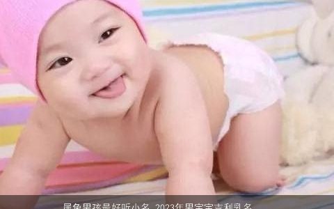 属兔男孩最好听小名 2024年男宝宝吉利乳名大全 好听吉利的虎男孩小名男宝宝乳名名字精挑