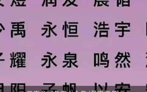 三字公司名字大全集(晨字取名)
