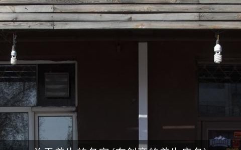 关于养生的名字(有创意的养生店名)