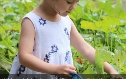 陆姓女孩名字大全 陆姓女孩起名新颖一点 诗意新颖的陆姓女孩名精选