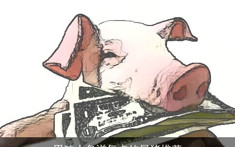 男孩小名洋气点的属猪推荐