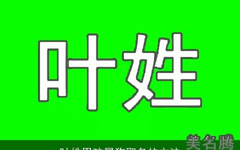 叶姓男孩属狗取名的方法