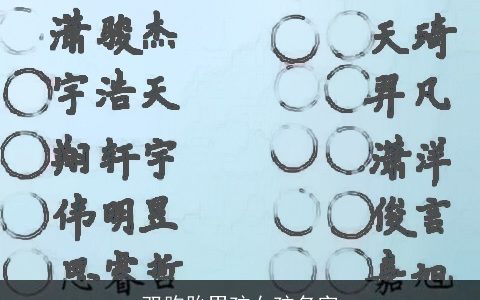 双胞胎男孩女孩名字