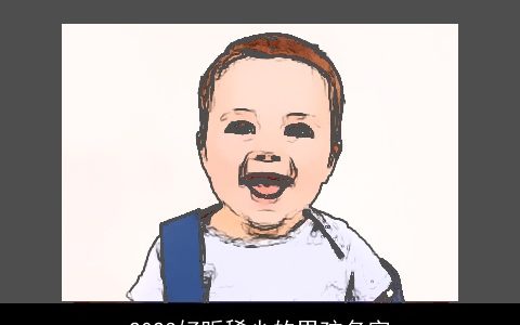 2024好听稀少的男孩名字