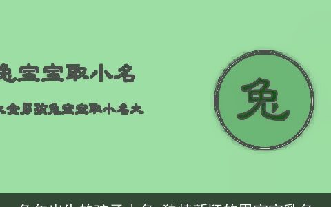 兔年出生的孩子小名 独特新颖的男宝宝乳名