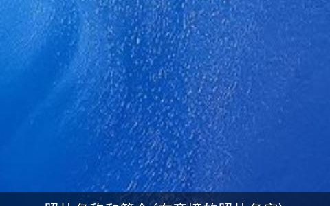 照片名称和简介(有意境的照片名字)